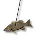 Fil:Spear fish.png