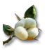 Fil:Cotton Product.png