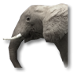 Fil:Elephant.png