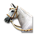 Fil:Cavallo andaluso.png