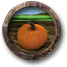 Fil:Harvest pumpkins.png