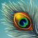 Fil:Peacock feather single.png