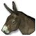 Fil:Donkey.png