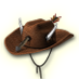 Fil:Collector hat.png
